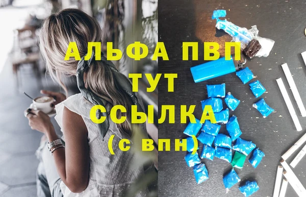 спайс Бородино