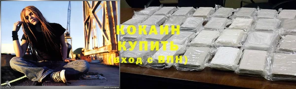 спайс Бородино