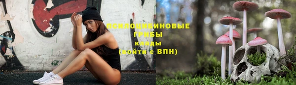 спайс Бородино
