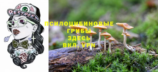 СК Бугульма