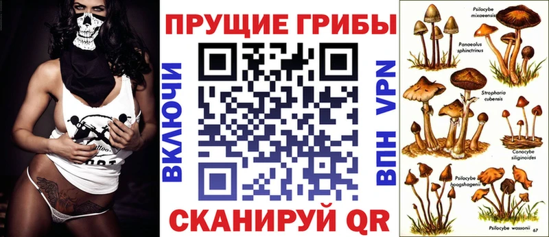 mega сайт Инсар Галлюциногенные грибы мицелий
